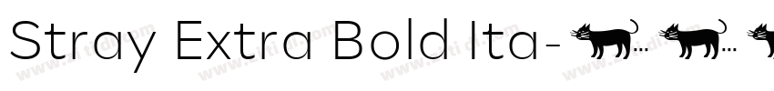 Stray Extra Bold Ita字体转换